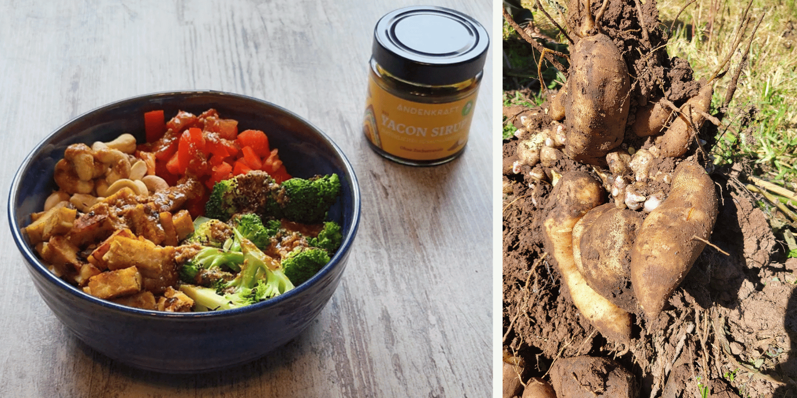 Starkes Duo für deine Darmgesundheit - Tempeh und Yacon!